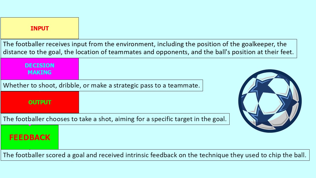 PowerPoint slide on the basic information processing model applied to a sport example