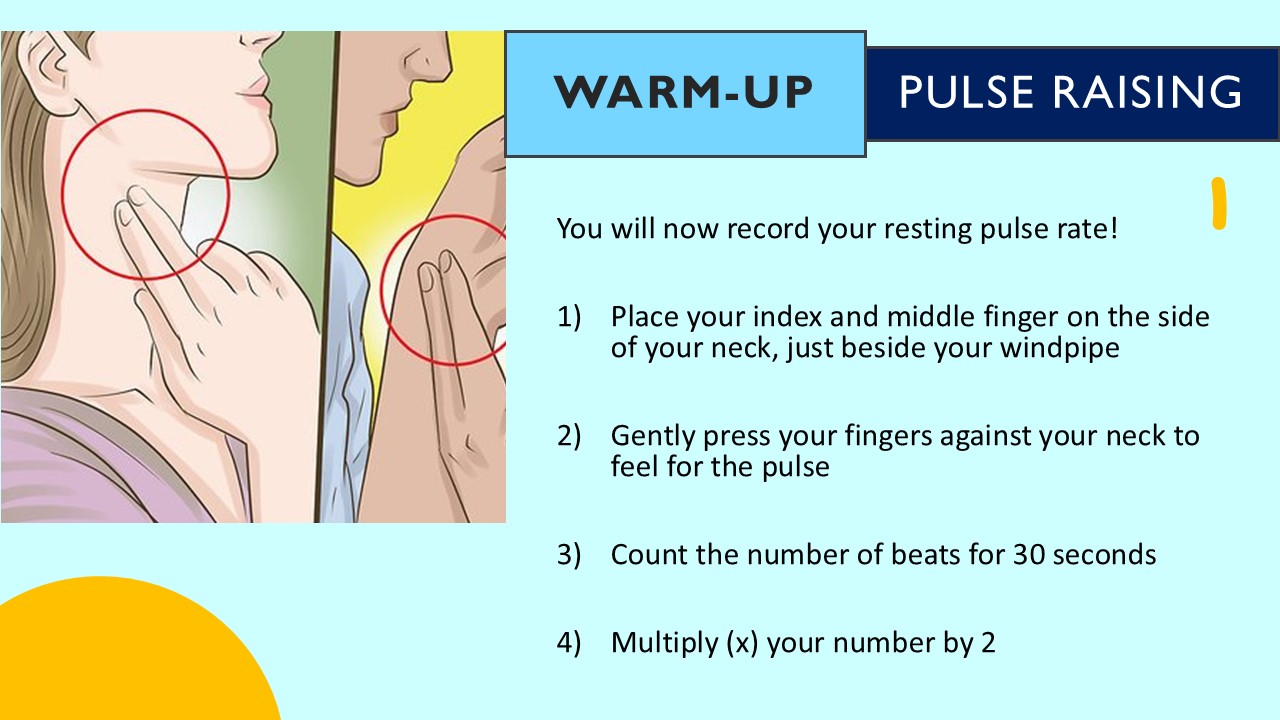 PowerPoint slide on pulse raising within a warm up for sport - measuring resting pulse rate