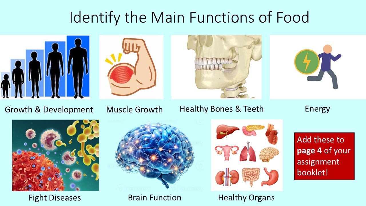 PowerPoint slide on the main functions of food in the diet like muscle growth, energy, brain function