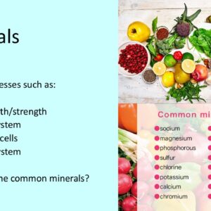 PowerPoint slide on the roles of minerals in our diet like bone growth and immune system