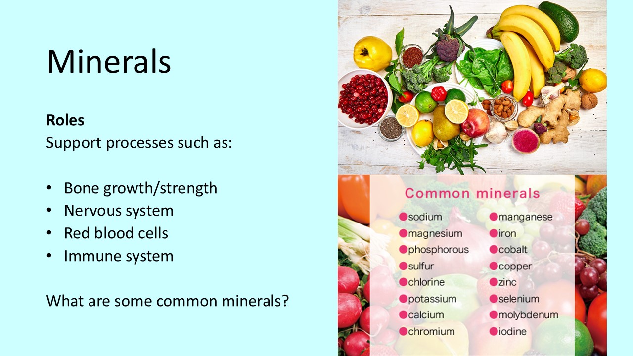 PowerPoint slide on the roles of minerals in our diet like bone growth and immune system