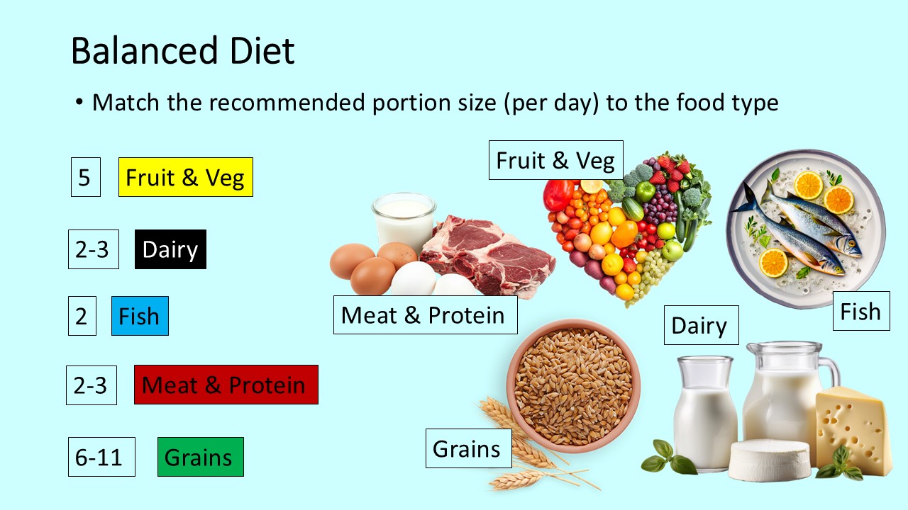 PowerPoint slide matching the recommended portion size per day for each food type - fruit, dairy, fish, meat, grains