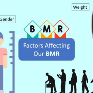 PowerPoint slide on the different factors that affect BMR - gender, height, weight, age