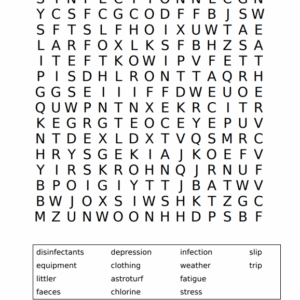 Worksheet - Types of Hazards Word Search (LO3: 3.1-3.2)