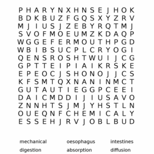 Worksheet - Digestion and Absorption Word Search (LO1: 1.2)