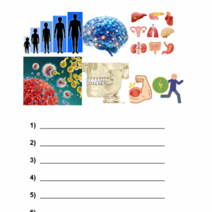 Worksheet - Functions and Components of Food (LO1: 1.1, 1.3)