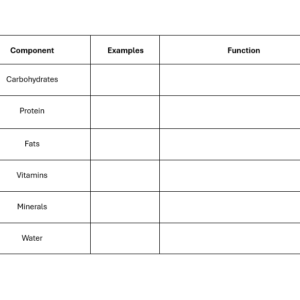 Worksheet - Components of Food Table (LO1: 1.4)