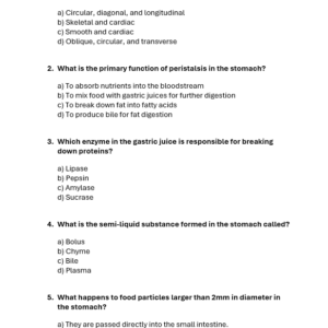 Worksheet - Physical Processes in Digestion Quiz (LO3: 3.2)